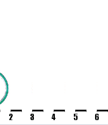 Line Doubling